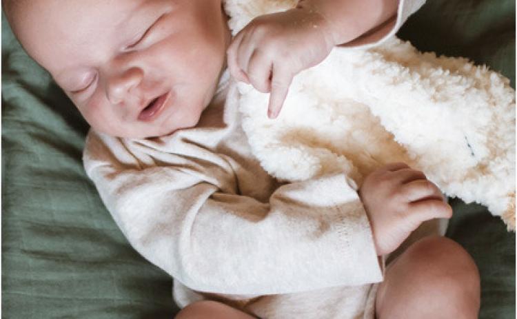 - - - Birth - - -