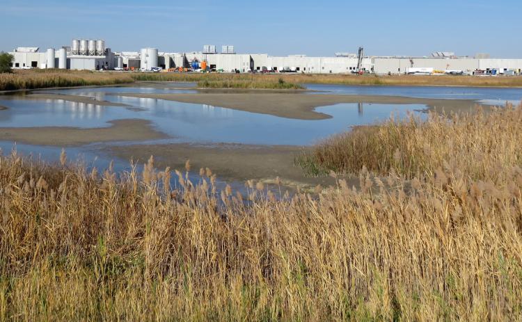 This image shows the full length of the massive Sustainable Beef plant’s south side, running from west to east. Once operational, the plant is expected to process 1,500 head of cattle, hauled in on 45 semi-trucks, each day. That’s roughly 1.5% of the nation’s fat cattle, says the company CEO. Lori Potter for the Flatwater Free Press