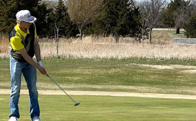 Golf team finishes 2nd again, Walker, Werner medal