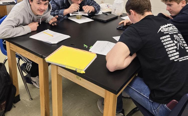 Sophomore Biology experiment