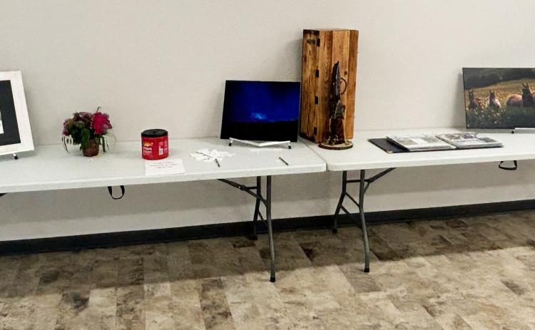 The Open Class exhibits chosen by the judges to be voted on for People’s Choice are pictured left to right, entered by: Kyle Hoyt, Becky Mundorf, Nicholas Lattin, Kyle Hoyt, Cathy Nichols and Nicholas Lattin. Gerri Peterson