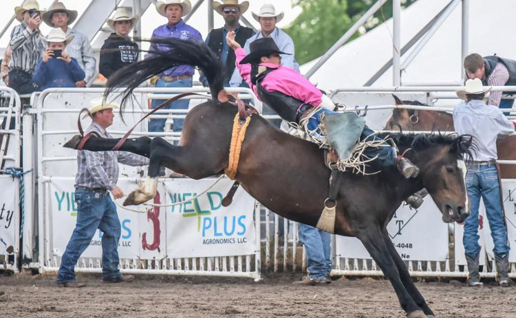 This is the third time for bareback rider Spencer DeNaeyer to compete at the Buffalo Bill Rodeo. Susan Hoover