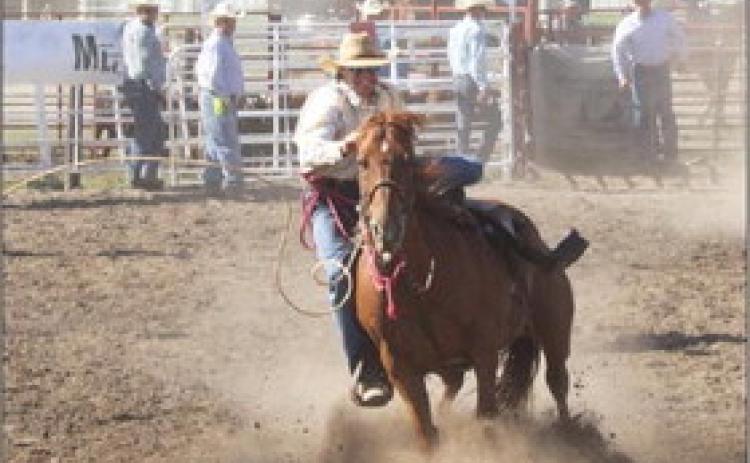 MHS senior Chase Gracey made his Nebraska High School Rodeo circuit debut over Labor Day weekend in the tie down roping, competing in Nelson on Saturday and Sunday and then at the State Fair in Grand Island on Monday, Sept. 4. He had a 25.960 on Sunday to finish 13th and then placed 8th in Grand Island with a 21.930. This past weekend in Broken Bow, he placed 8th on Saturday with a 23.580 and then won the Sunday performance with a 12.770! Stephanie Miller