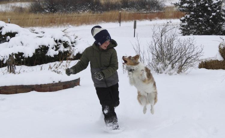 Thank you to everyone who submitted photos for the annual Christmas/Winter Photo Contest. Congratulations to Tami Miller who won a free year subscription to the Tribune. Duke Miller and Rooster enjoyed the first real snow of the season last month!