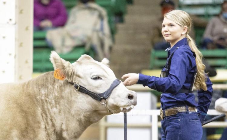 For her first big livestock show experience, 4-Her Faith Miller represented Hooker County very well, placing in the top 11 in every category but one. Tami Miller