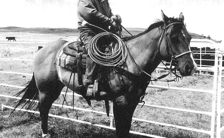 NE Sandhills Cowboy Hall of Fame: Samuel Miles
