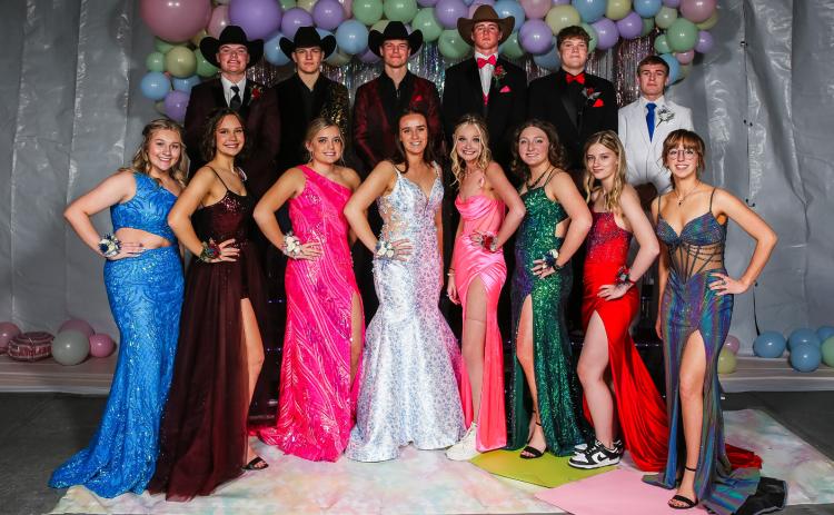 MHS seniors at Prom on Saturday, March 16, back l-r: Owen Thorberg, James Kessler, Chase Rundback, Chase Gracey, Ethan Hardin, Kyle Finney. Front: Samantha Cheever, Ashlyn Simonson, Lauren Schoonveld, Jadyn Andersen, Kierstin Pike, Corynn Corbin, Erika Massey, Malia Oltmer. Megan Andersen Photography