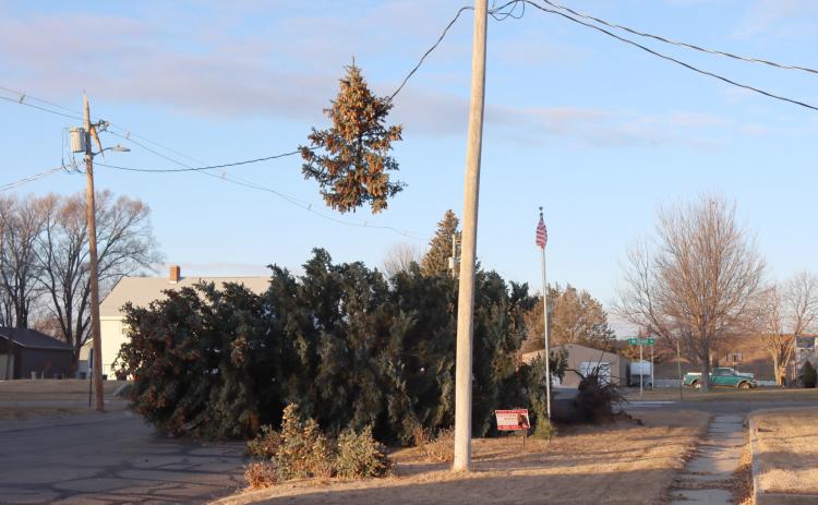 High winds cause damage in Mullen