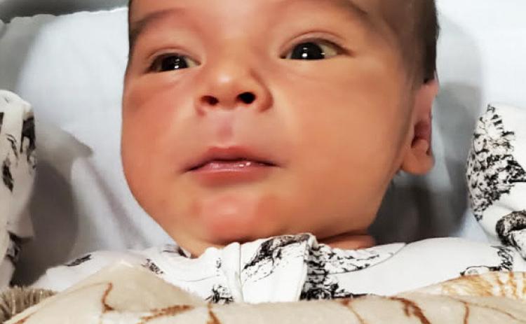 - - - Birth - - -