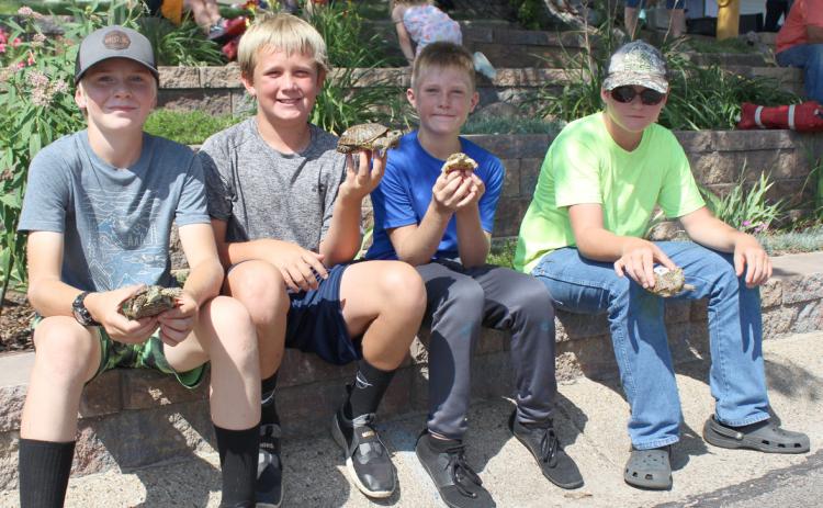 L-r: Jedd Kraus, Caleb Deibler, Gus Wingebach and Justin Kraus ready to race their turtles. Gerri Peterson