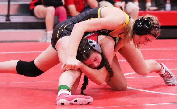 Georgia Wingebach earned her first high school wrestling medal last week in Valentine, placing 4th. Carolee Brown Photography