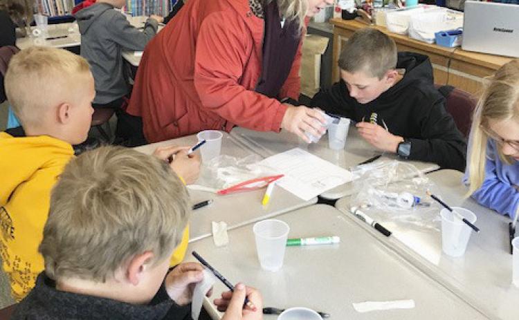 Anna Baum in the 4th grade classroom. courtesy photos