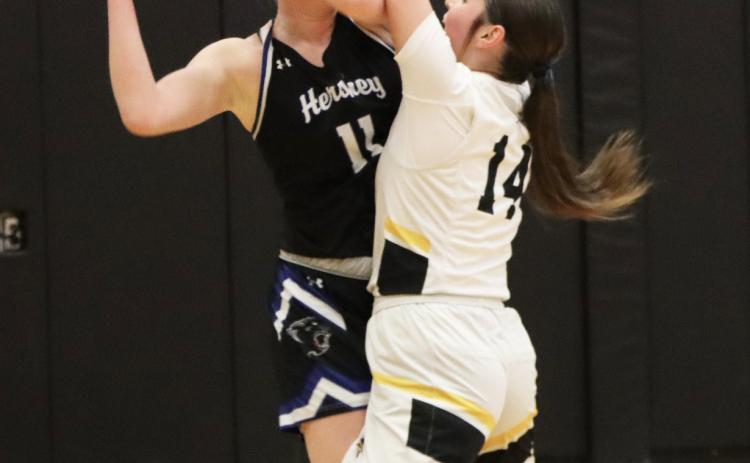 Kalli Licking plays defense last Friday against Hershey. Sue Licking