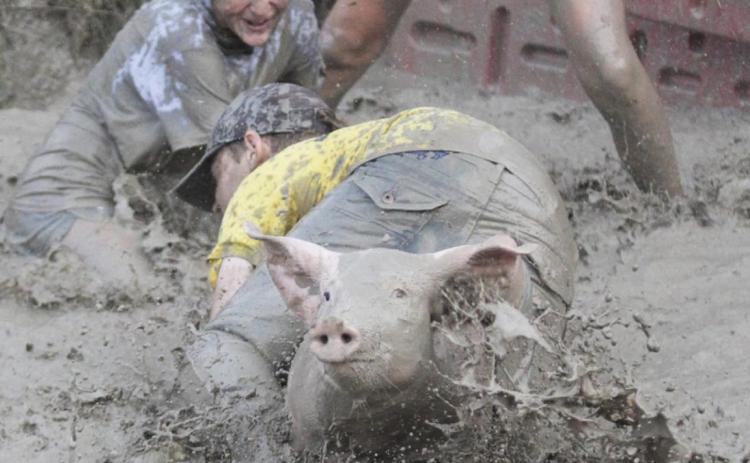 This pig managed to escape first Ella Homan, and then Daniel Wright through his legs! Gerri Peterson