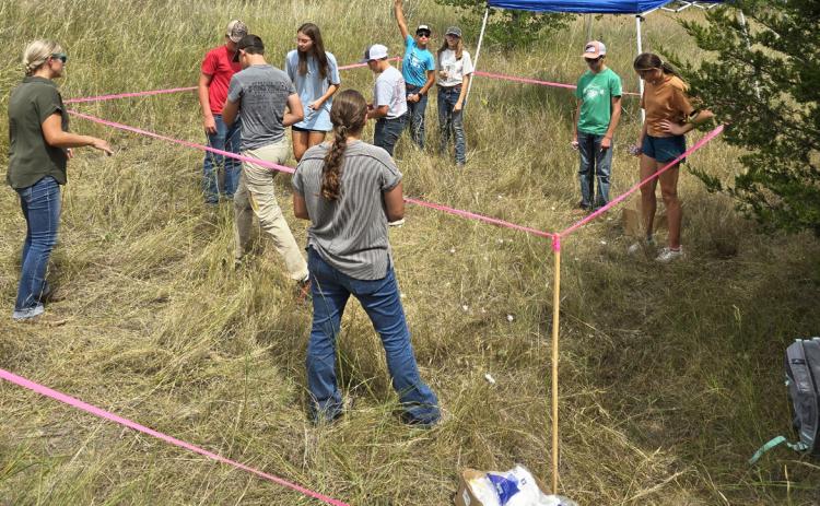 The Mullen eighth graders attended the Upper Loup NRD field day in Thedford last Wednesday, Aug. 27. They learned about soils, wildlife, water, forestry and range management practices. Tawn Jewell