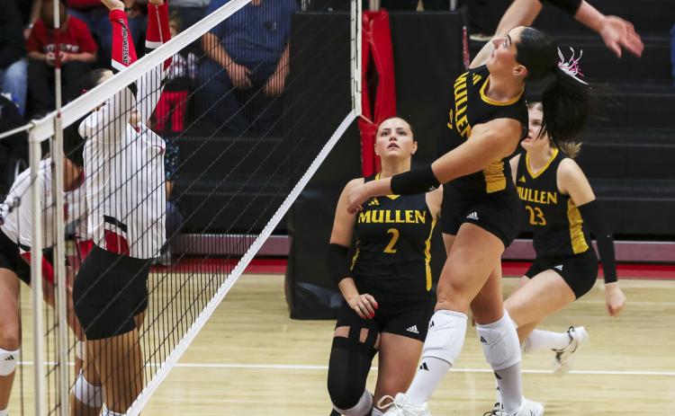 Jenna Donohoe goes for a kill at Merna last week. Megan Andersen