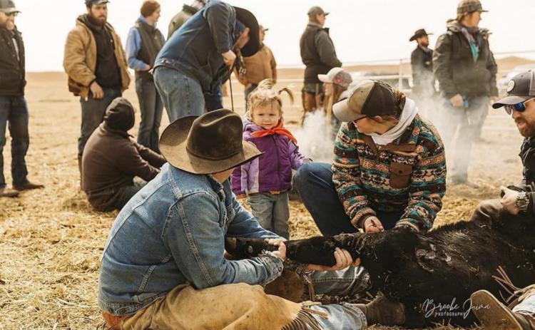 Clara Schmid gets some assistance from her daughter Quinley at a branding. Brooke Juma
