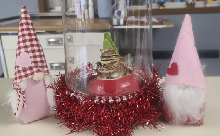 Some of our little gnome decorations brought in from Heather.