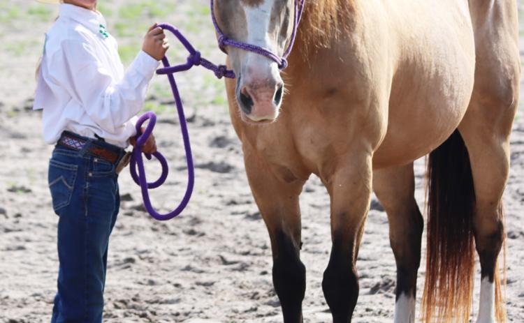 Finley Mundorf competing in the 4-H Horse Show. Gerri Peterson