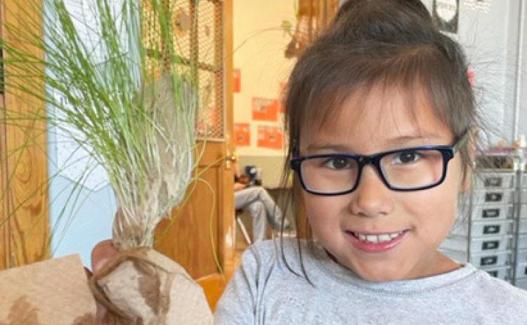 2nd graders grow Grass Heads