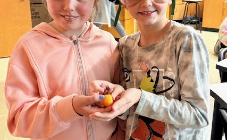 2nd, 3rd graders attend Chemistry II science fair