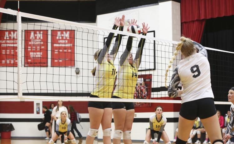 Lady Broncos fall to Brady in MNAC