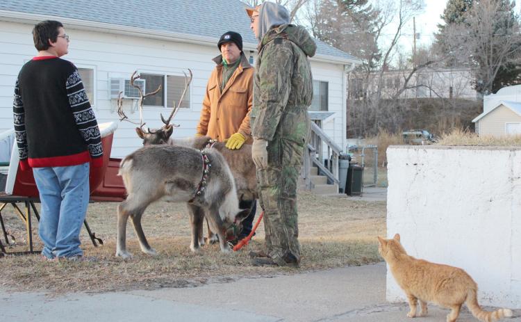 Hunter Gray visits the reindeer and with Bryan Miller and Flip Licking while Sadie Deibler the cat inspects her neighborhood visitors
