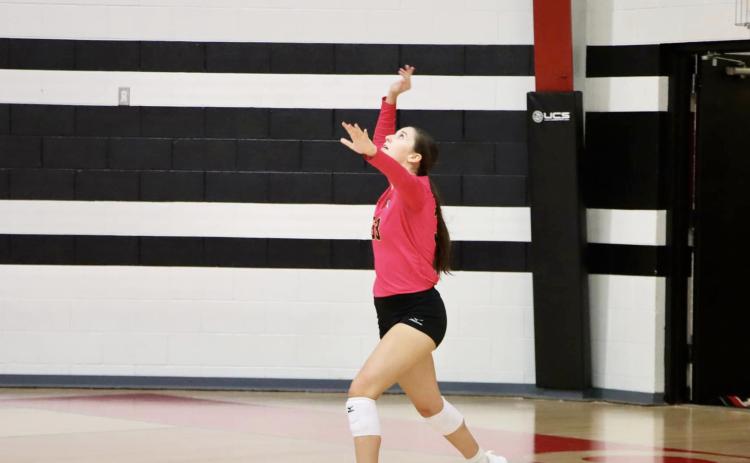 Allie Boyer serves at the Anselmo-Merna Invite last Saturday. Sue Licking