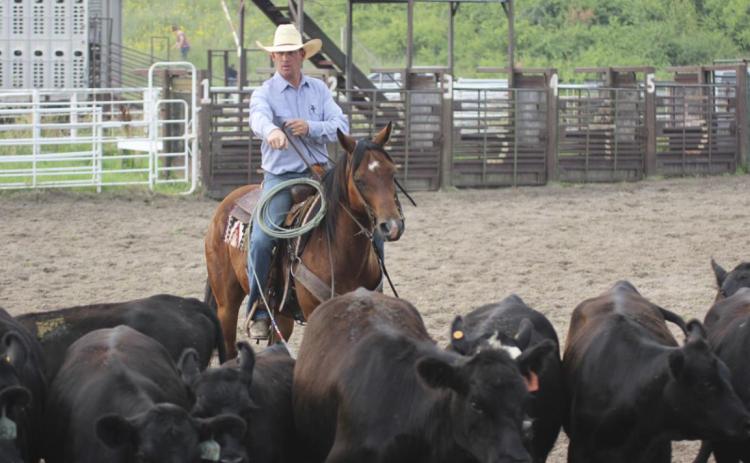 Josh Call of the Warren Ranch team finds one of his team’s heifers in the team sorting event at the Mullen Ranch Rodeo. Gerri Peterson