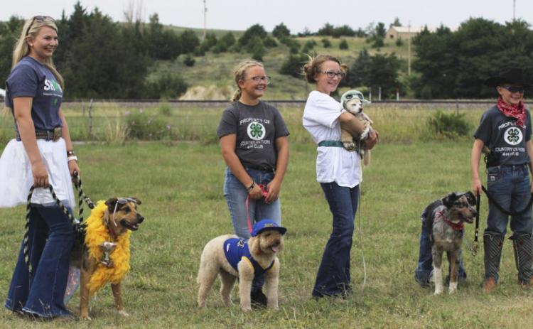 Faith Miller and Sassy won the Best Dressed Pet competition at the Small Animal Show. Pictured l-r: Faith Miller, Riley Hegland, Hope Miller, Oakes Miller. Gerri Peterson