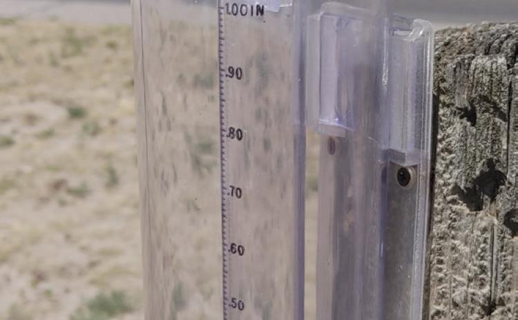 Enthusiastic weather watchers wanted