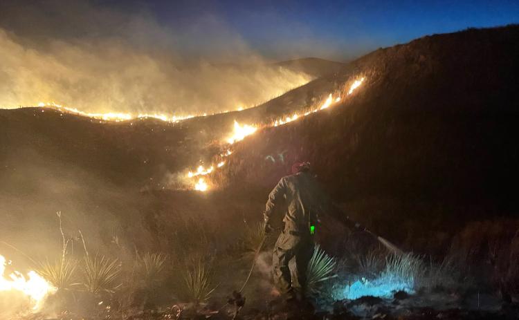 U.S. Forest Service firefighter Ben Pickering battles the fire at peck hill south of Mullen last Tuesday evening. Dane Peterson