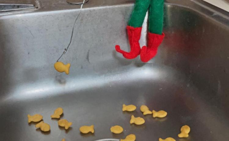 Elf on the Shelf entries due now!