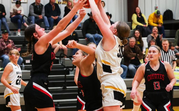 Hayley Donohoe fights for a rebound against Anselmo-Merna. Megan Andersen