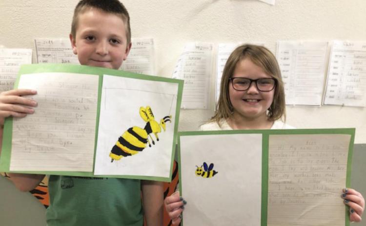 Second graders study insects