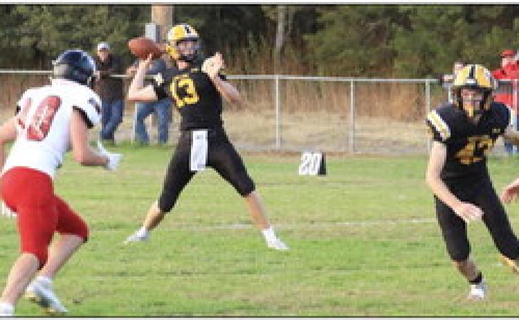 Broncos fall to Anselmo-Merna Coyotes
