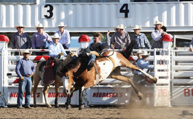 Cooper Walker competes in the bareback at State Finals. Sandall Photography