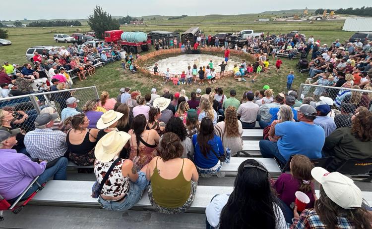 Pig Wrestling always draws a big crowd! Gerri Peterson