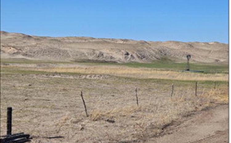 A recovering burn scar